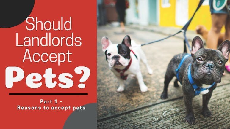Tampa Property Management Advice: Should Landlords Accept Pets? – Part 1 – Reasons to accept pets