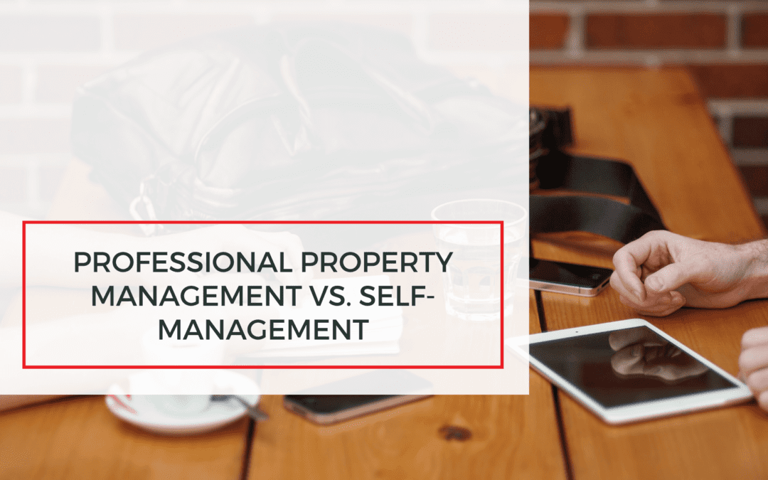 Professional Tampa Property Management vs. Self-Management