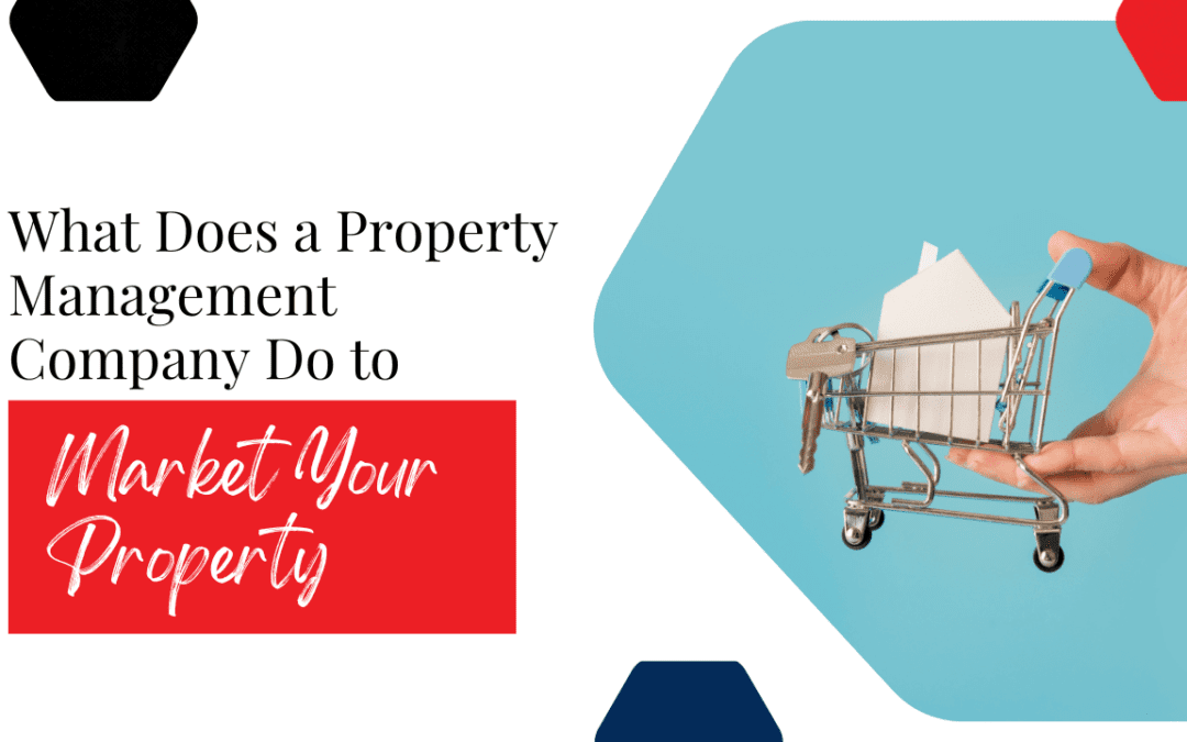 What Does a Property Management Company Do to Market Your Property?